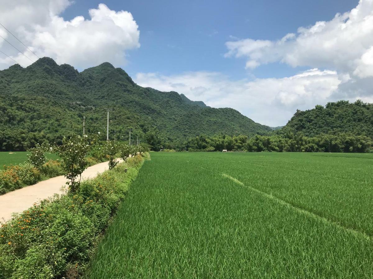 Jomo House Mai Chau 호텔 호아빈 외부 사진