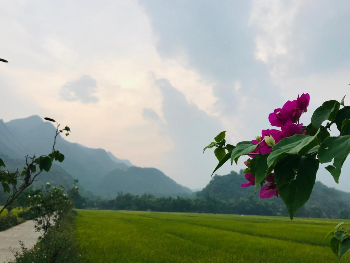 Jomo House Mai Chau 호텔 호아빈 외부 사진