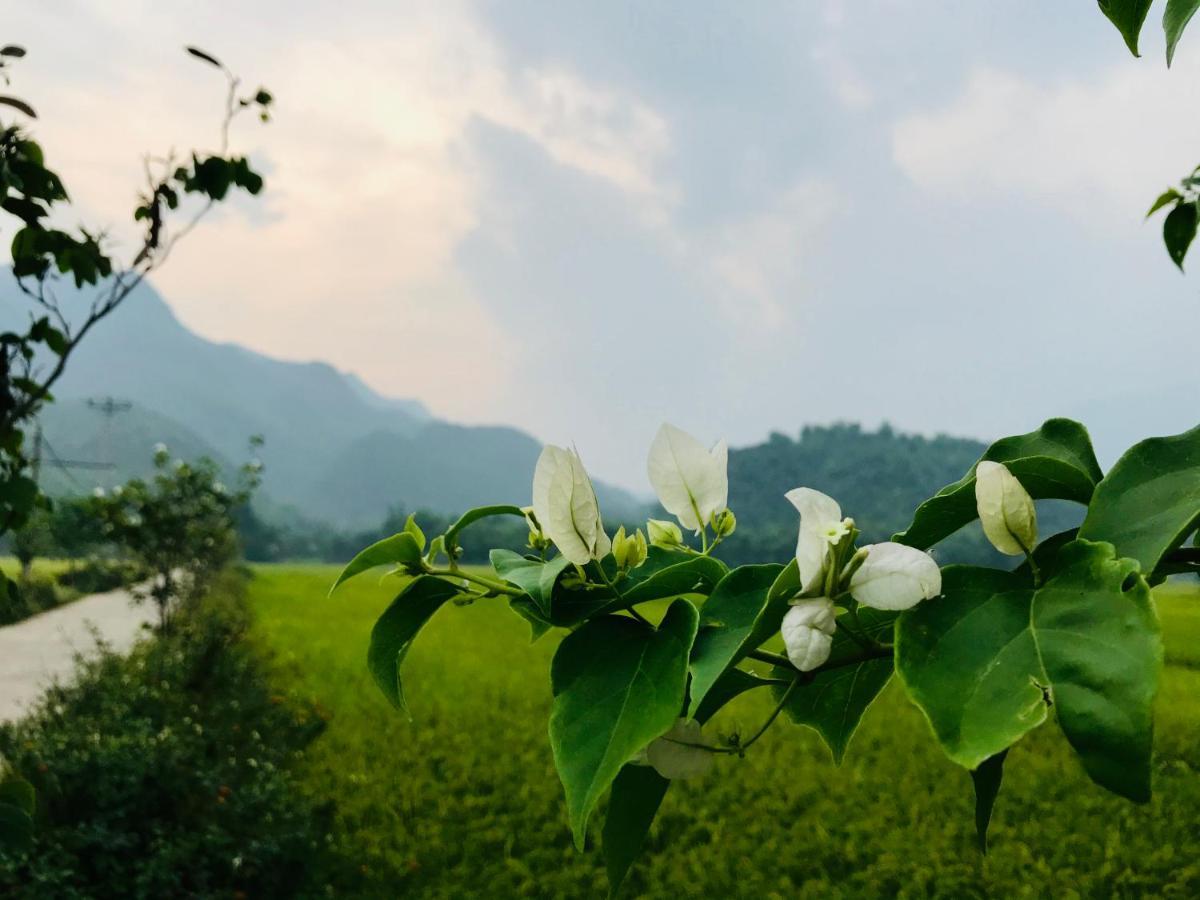 Jomo House Mai Chau 호텔 호아빈 외부 사진